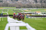 240126-Race 4-Favori De Champdou-6829