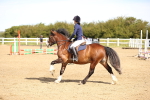 SBM_000444
