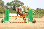 SBM_004384