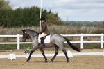 SBM_001884