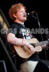 ED SHEERAN portfolio