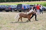 WJ6_6948