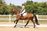 SBM_004877