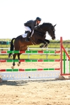 SBM_001980