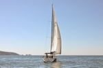 170526 SLOW GIN GBR2075L 1Y3A9553_Edit