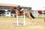 SBM_000390