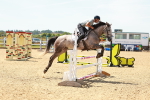 SBM_006408