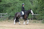 WJ7_7628
