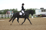 SBM_000977