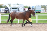 SBM_01520