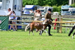 SBM_03698