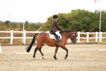 SBM_001446