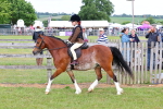 SBM_08580
