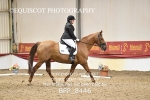BPP_8446