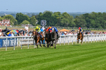 230626-Race 2-Tattie Bogle-0323