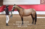 BPP_1376