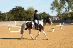 SBM_16451