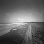 Jersey Coast 9