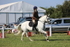 JPP_1595