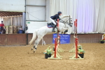 Class 23 - Senior Newcomers/ 1.10m Open - First Round (1.10m) portfolio
