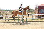 SBM_001769