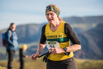 Sale Fell-532