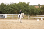 SBM_000213