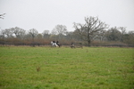 WJ6_1306