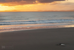 Harlech beach sunset