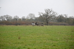 WJ6_1298