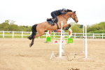 SBM_002969