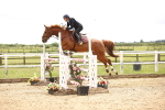 SBM_007993
