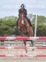 BPP_5333