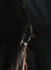 Horse Eye 42