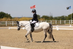 SBM_005005