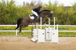 SBM_002845