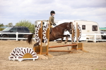SBM_03593
