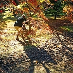 Autumn photographer