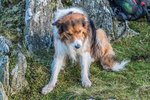 Dunnerdale-766