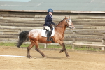 SBM_000191