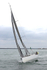 190803 JUST SO GBR529R 1Y3A7558