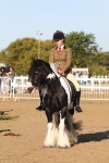 SBM_07915