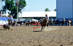 3HRodeo8-11-25_PRCASteer_00459_