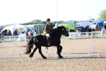SBM_08755
