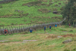 Langdale-1316