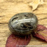 Polished Whitby Ammonite Nodule 029