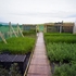 Nursery