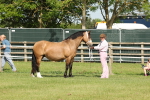 SBM_02046