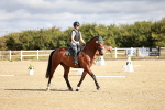 SBM_009141