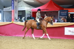 SBM_00863